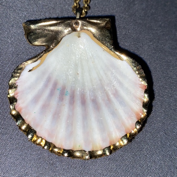 3/$30 Real Shell Necklace - Picture 2 of 3